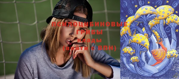 винт Алексин