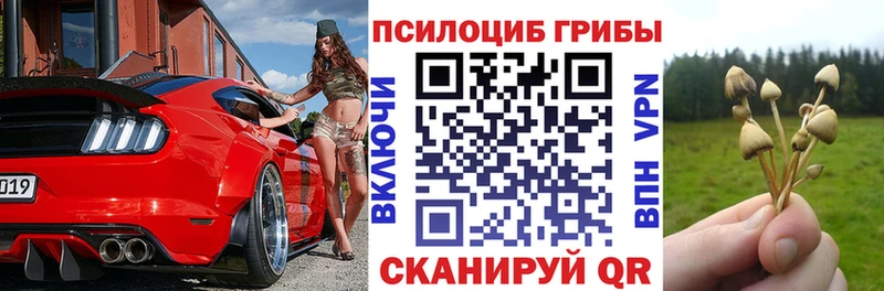 Псилоцибиновые грибы мухоморы Ижевск