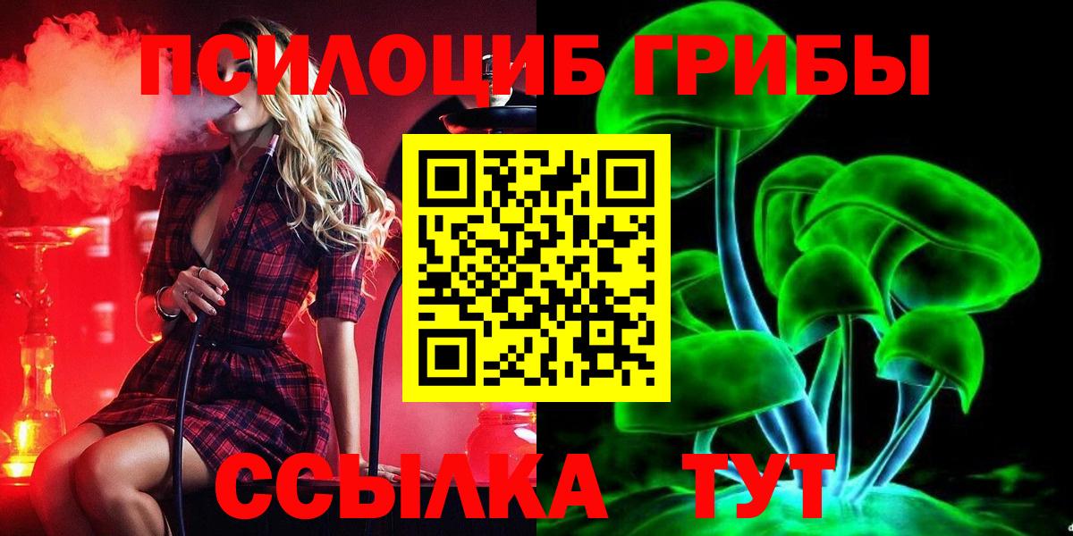 купить  сайты  Вход с VPN  Ижевск  Псилоцибиновые грибы Magic Shrooms 