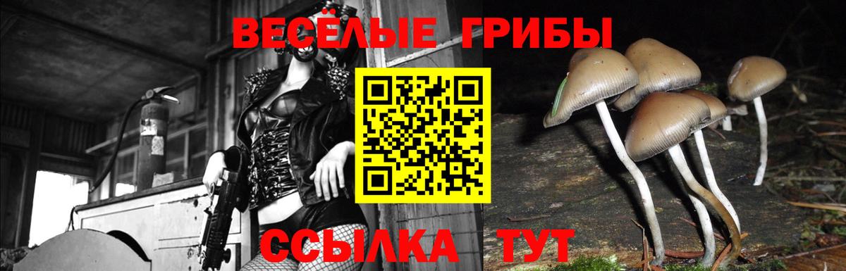 Псилоцибиновые грибы GOLDEN TEACHER Ижевск